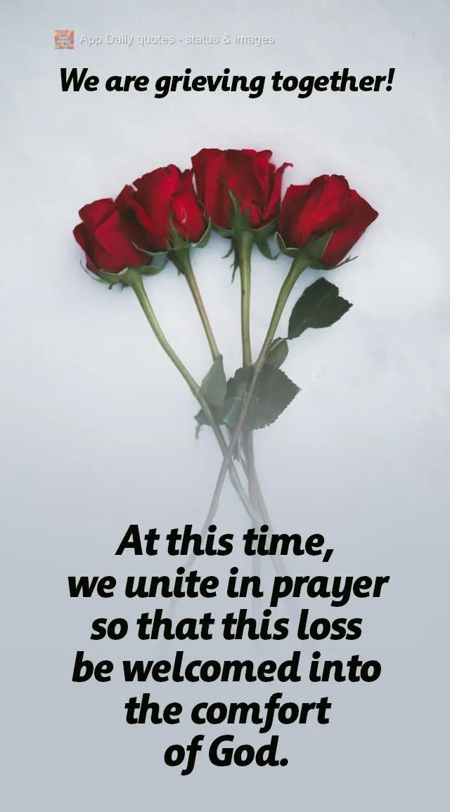 Neste momento, nos unimos em oração para que essa perda seja acolhida no conforto de Deus.
 Estamos de luto!