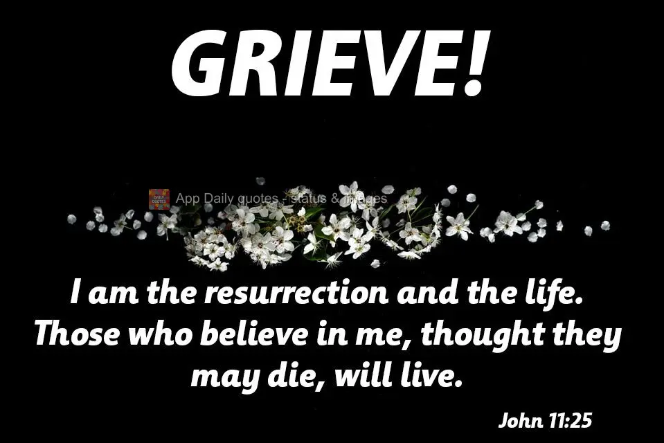 Eu sou a ressurreição e a vida. Aquele que crê em mim, ainda que morra, viverá. 
 LUTO! João 11,25
