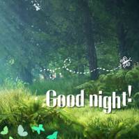 Que nesta noite Deus lhe traga paz e tranquilidade, que as suas bênçãos sejam reveladas em seus sonhos e que você possa dormir sabendo que amanhã te...