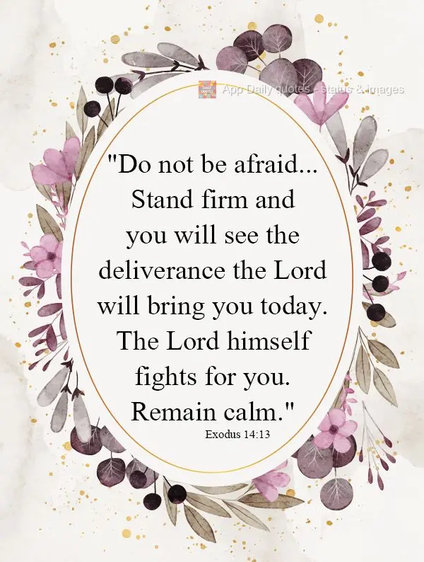 "Não tenha medo, apenas fique quieto e veja o Senhor resgatá-lo hoje. O próprio Senhor lutará por você. Apenas fique calmo." Êxodo 14,13