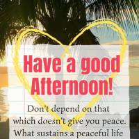 Não dependa daquilo que não lhe trás paz. O que sustenta uma vida tranquila é a compaixão, sinceridade, honestidade e o carinho que você tem por aq...