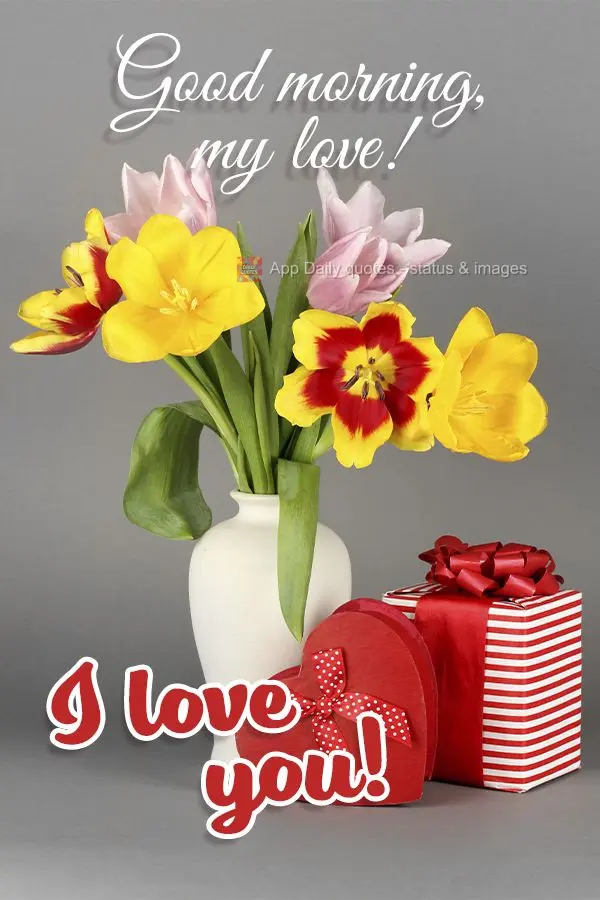 Bom dia amor! Eu te amo!