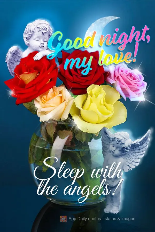 Boa noite amor! Durma com os anjos!