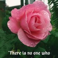 "Não há ninguém que seja insignificante no propósito de Deus." Alistair Begg
