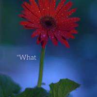 "Que diremos então a estas coisas? Se Deus é por nós, quem será contra nós?"  Romanos 8,31