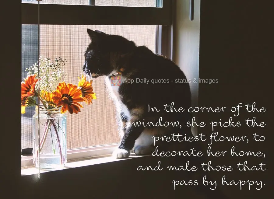 In the corner of the window, she picks the prettiest flower, to decorate her home, and make those that pass by happy.