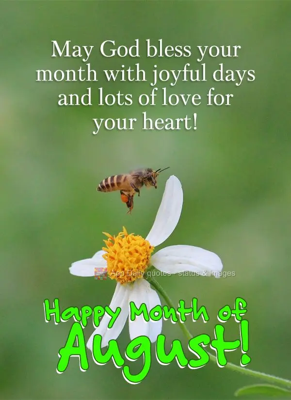Que Deus abençoe o seu mês com dias de alegria e muito amor para o seu coração! Feliz Mês de Agosto!