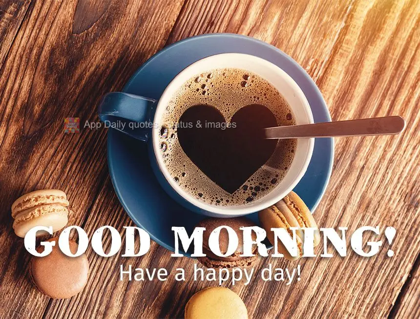 Tenha um feliz dia! Bom dia!