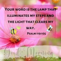 A Tua palavra é lâmpada que ilumina os meus passos e luz que clareia o meu caminho. 
Salmos 119:105
Bom dia bom dia Salmos 119:105