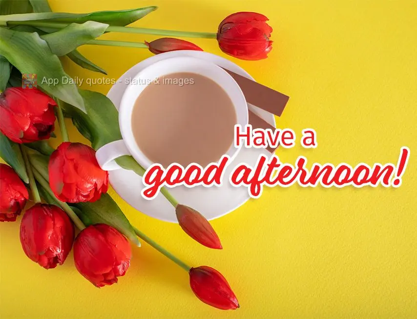 Tenha uma Feliz tarde!