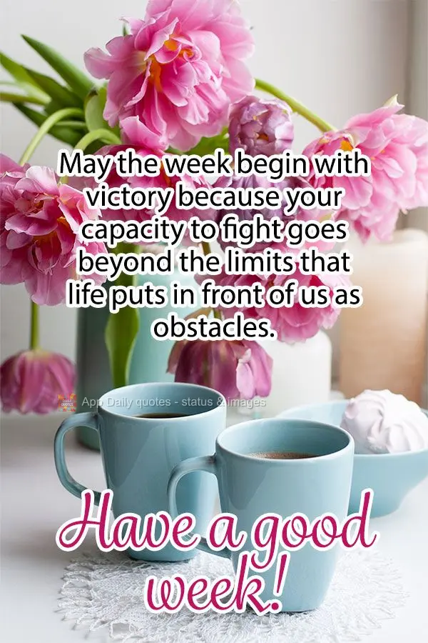 May the week begin victorious, because your capacity to fight goes beyond the limits that life puts in front of us as obstacles. Have a good week!