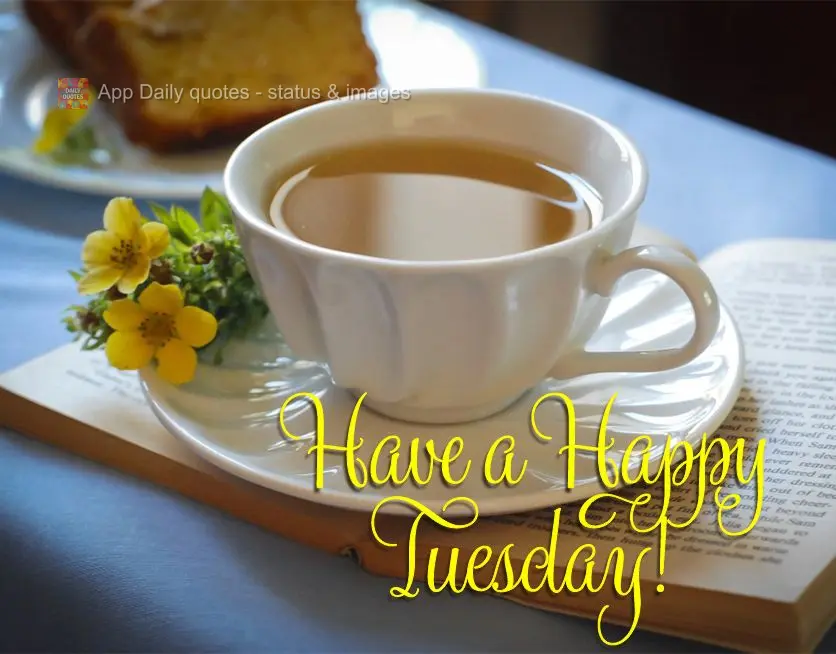 Have a Happy Tuesday!