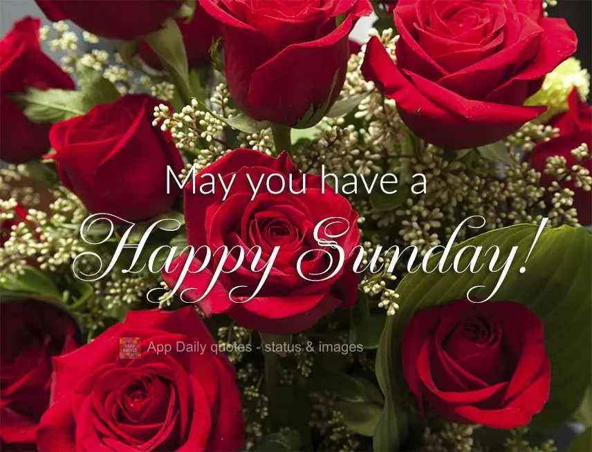 May you have a Happy Sunday!