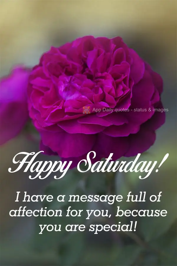 I'm sending you a message full of my affection, because you are special! Happy Saturday!