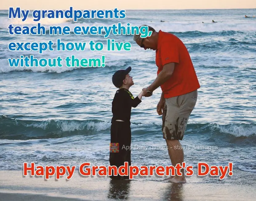 Meus avós me ensinaram tudo, menos a viver sem eles! Feliz Dia dos Avós! 