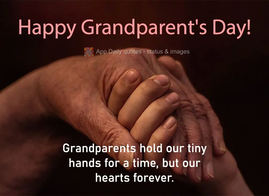 Os avós seguram nossas pequenas mãos por um tempinho, mas nossos corações para sempre. Feliz dia dos avós!