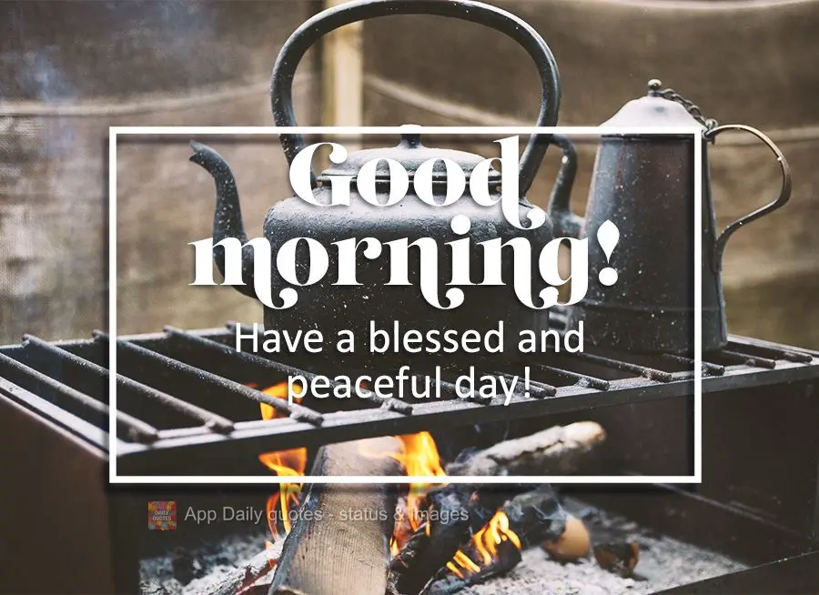 Tenha um dia abençoado e cheio de paz! Bom dia! 