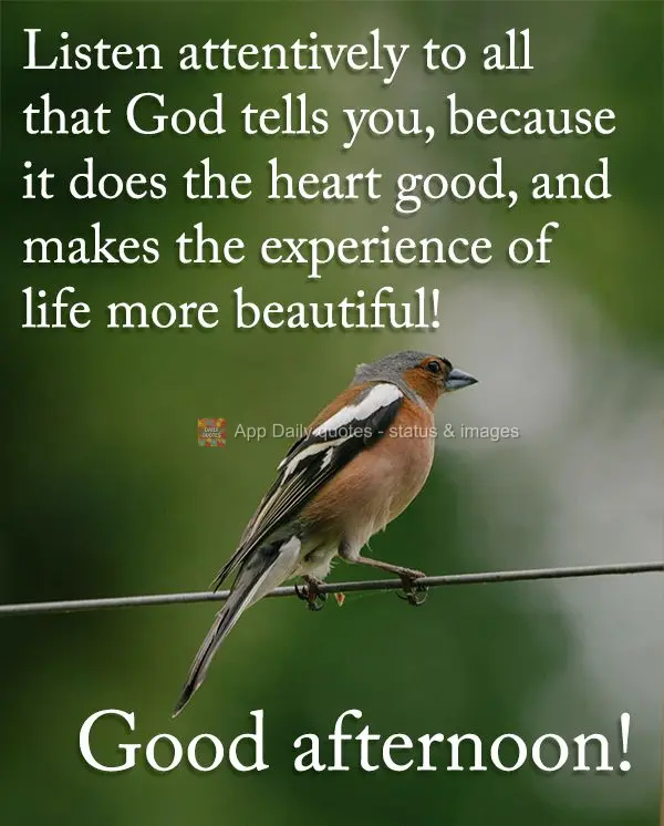 Listen attentively to all that God tells you, because it does the heart good, and makes the experience of life more beautiful! Good afternoon!