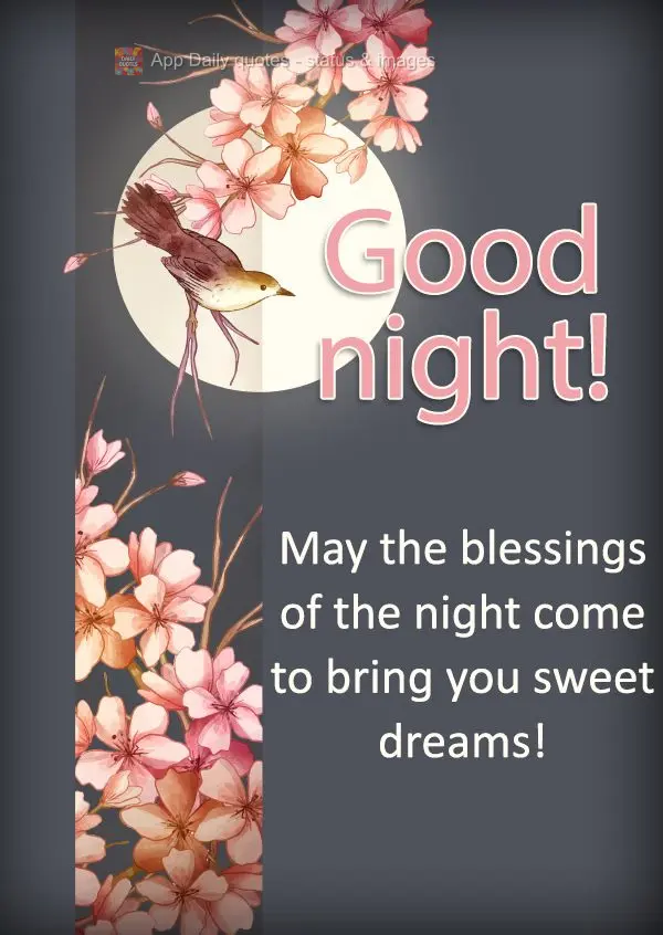 Que as bênçãos desta noite venham para lhe trazer lindos sonhos! Boa noite! 