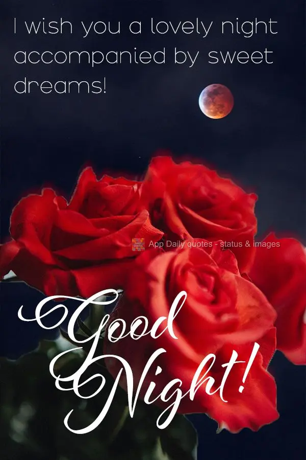 I wish you a lovely night accompanied by sweet dreams! Good night!