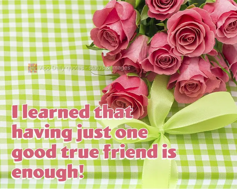 Aprendi que ter apenas um verdadeiro e bom amigo é o suficiente!