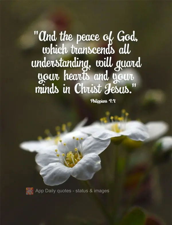 "And the peace of God, which transcends all understanding, will guard your hearts and your minds in Christ Jesus." Philippians 4:7