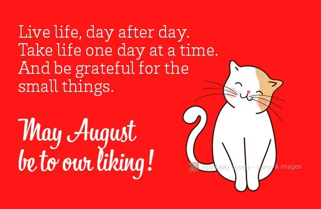 Viva a vida, dia após dia, leve a vida dia após dia, e seja grato pelas pequenas coisas. Que agosto seja ao nosso gosto! 

