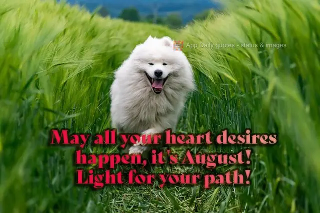 Que tudo o que o seu coração deseja aconteça, é agosto! Luz no seu caminho!
