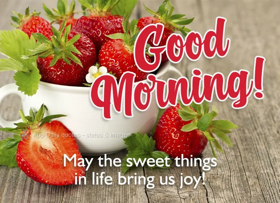 Que sejam doces as alegrias da vida! Bom dia!