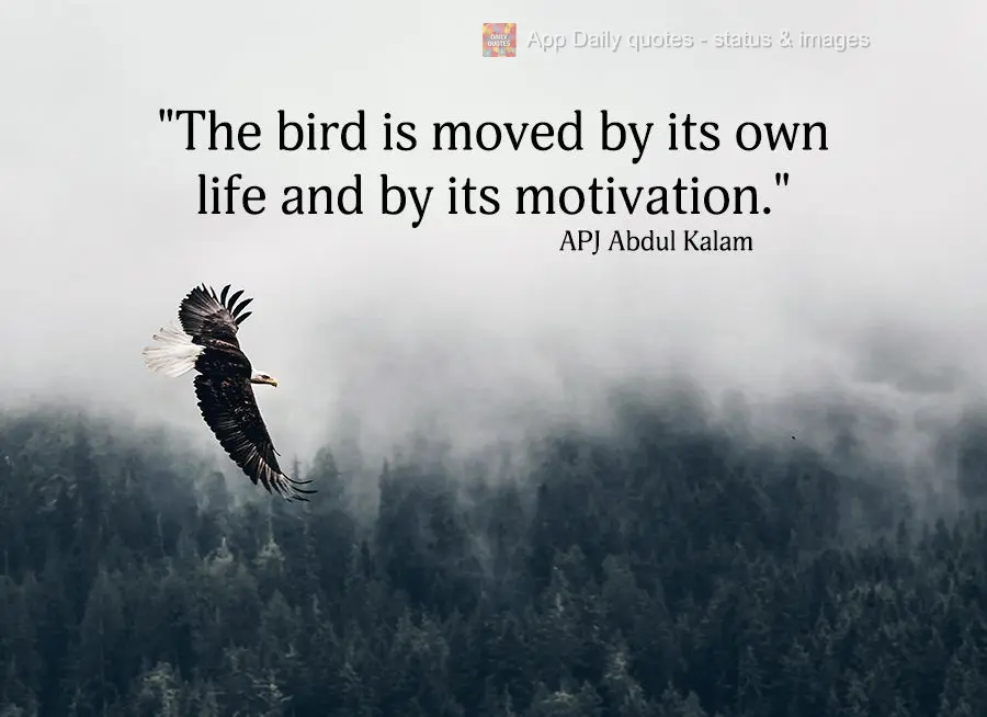 "The bird is moved by its own life and by its motivation." APJ Abdul Kalam