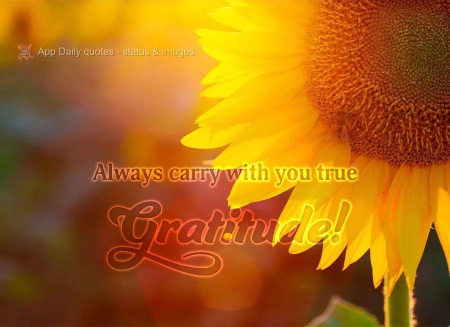 Always carry with you true Gratitude!