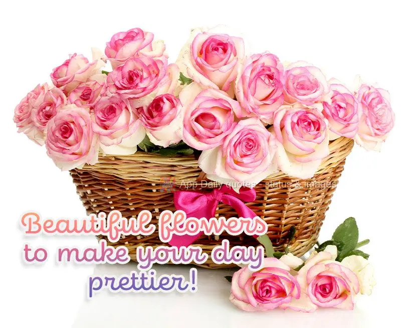 Lindas flores para deixar o seu dia mais bonito!