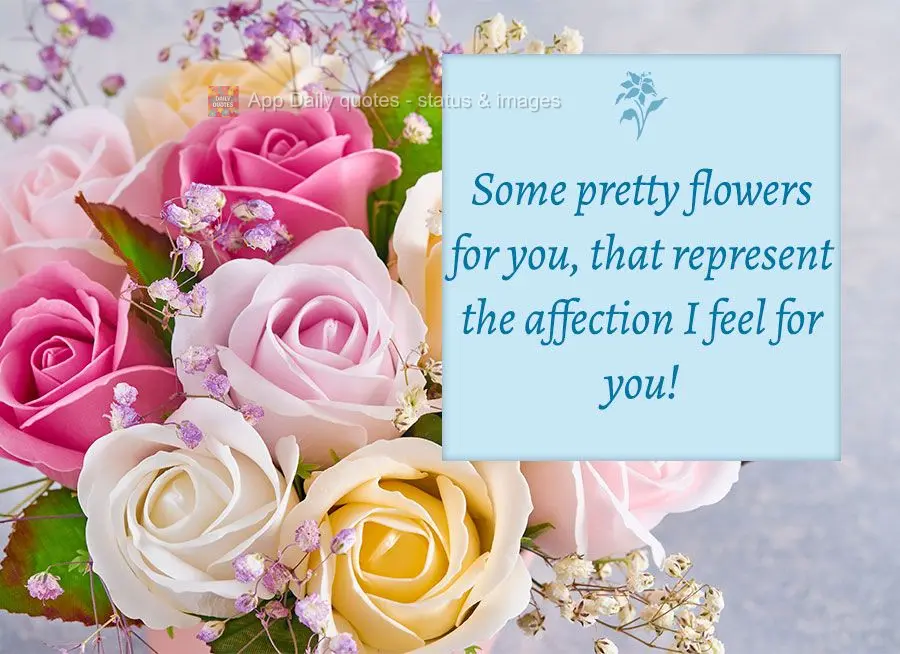 Some pretty flowers for you, that represent the affection I feel for you!