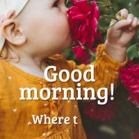 Onde houver as bênçãos de Deus você encontrará a sua paz! Bom dia! 