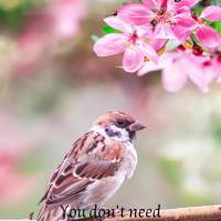 Bom dia! Você não precisa ser melhor que todo mundo, basta você ser uma versão melhor de você mesmo a cada dia que avança, tentando ultrapassar e v...