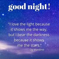 “Amarei a luz porque ela me mostra o caminho, mas suportarei a escuridão porque ela me mostra as estrelas.” Boa noite!  Og Mandino