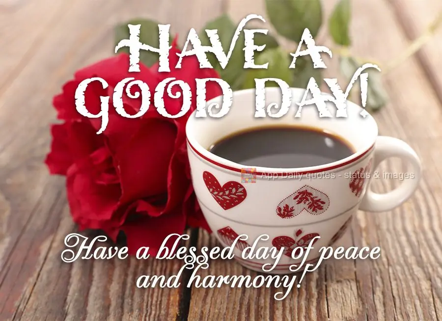 Tenha um abençoado dia com muita paz e harmonia! Bom dia! 