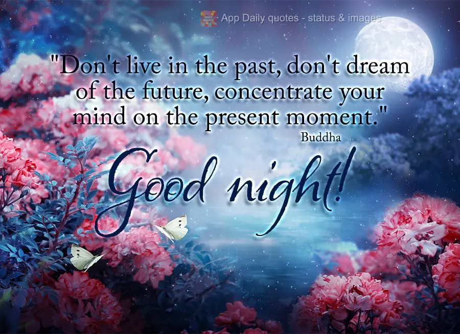 “Não viva no passado, não sonhe com o futuro, concentre a mente no momento presente.” Boa noite! Buda