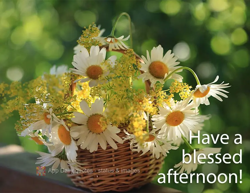 Have a blessed afternoon!