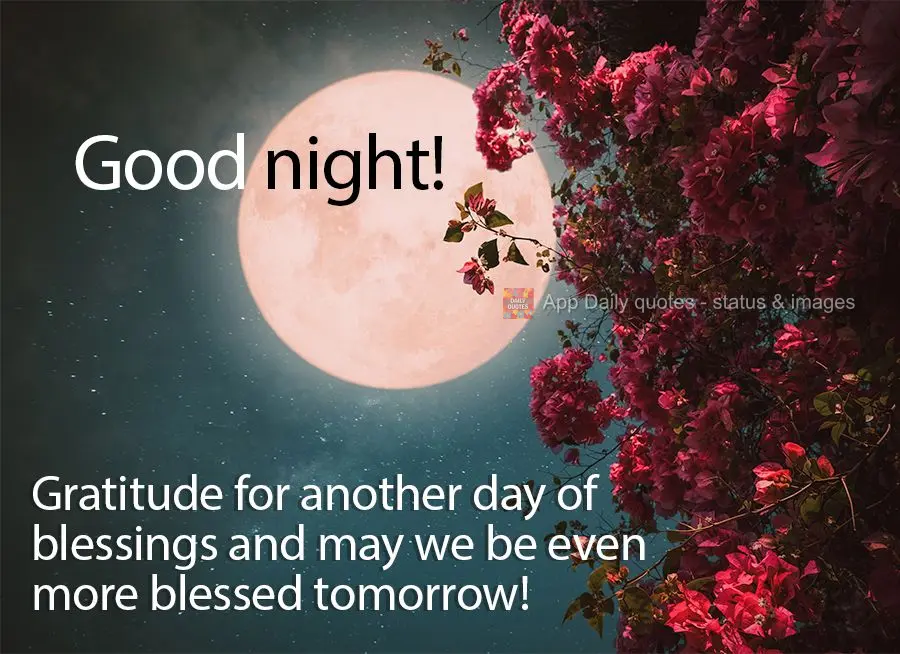 Gratitude for another day of blessings and may we be even more blessed tomorrow! Good night!