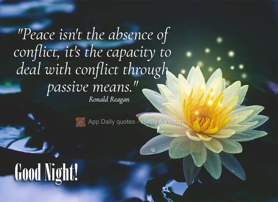 Good night! "Peace isn't the absence of conflict, it's the capacity to deal with conflict through passive means."  Ronald Reagan