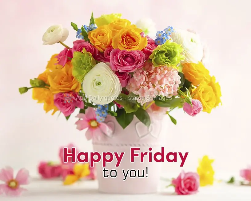 Feliz Sexta-feira para você!