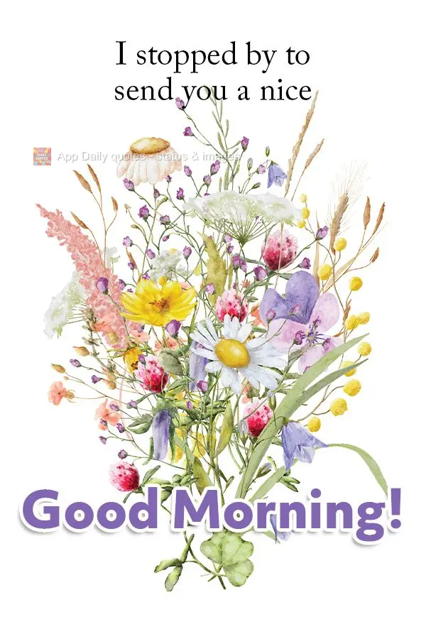 I stopped by to send you a nice Good Morning!