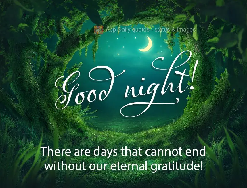 Existem dias que não se podem acabar sem a nossa eterna gratidão! Boa noite! 