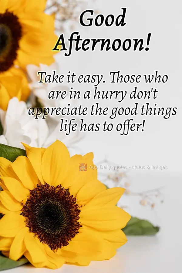 Vá com calma, quem tem pressa não aproveita o que a vida tem de melhor a oferecer! Boa tarde! 