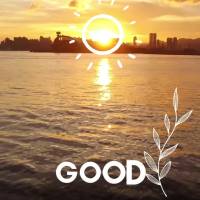 Tenha um dia feliz! Bom dia!