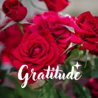 Gratidão por mais um dia de bênçãos!