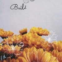 Construa uma ponte de gratidão para se alcançar novas bênçãos!