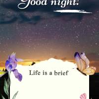 A vida é um breve momento e você deve aproveitar cada segundo sem deixar passar aquilo que te faz viver bem e feliz! Boa noite!