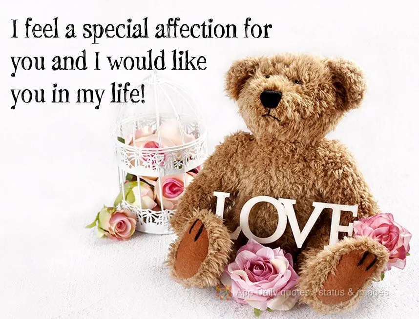 I feel a special affection for you and I would like you in my life!